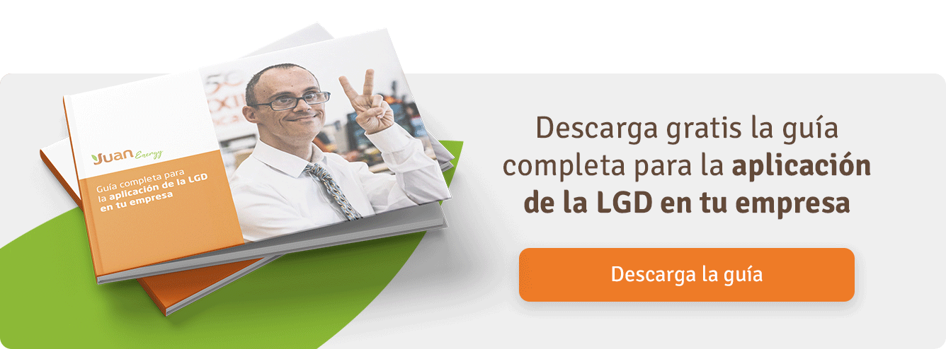 Descarga gratis la guía completa para la aplicación de la LGD en tu empresa