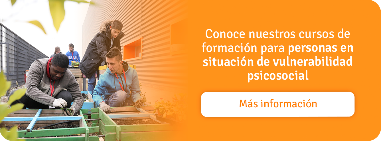 conoce-nuestros-cursos-de-formacion