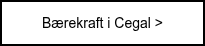 <span style="font-size: 14px;">Bærekraft i Cegal&nbsp;></span>
