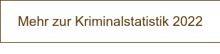 Mehr zur Kriminalstatistik 2022