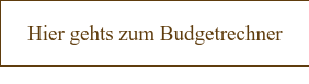 Hier gehts zum Budgetrechner