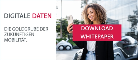 Whitepaper Digitale Daten