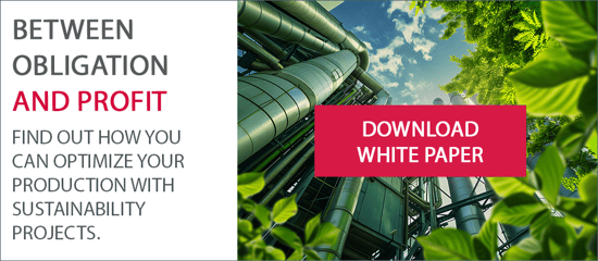 Whitepaper Nachhaltige Produktion EN