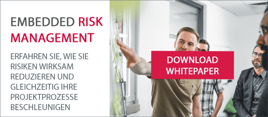 Download Whitepaper Risikomanagement