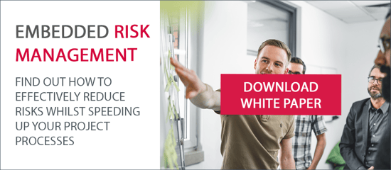 Download white paper risk management