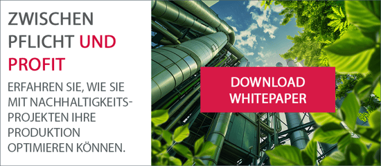 Whitepaper Nachhaltige Produktion
