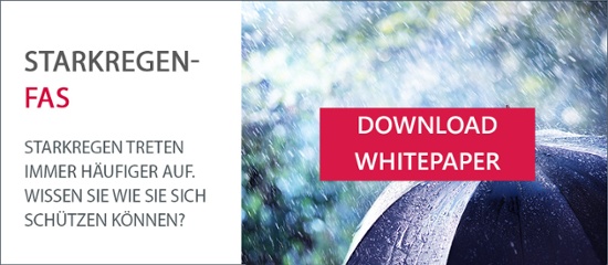 Whitepaper Starkregen