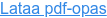 Lataa pdf-opas