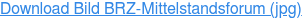 Download Bild BRZ-Mittelstandsforum (jpg)