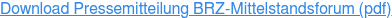 Download Pressemitteilung BRZ-Mittelstandsforum (pdf)