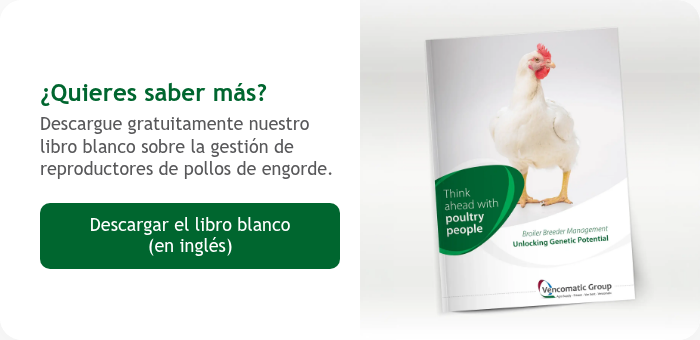 ¿Quieres saber más? Descargue gratuitamente nuestro libro blanco sobre la gestión de reproductores de pollos de engorde. &nbsp;