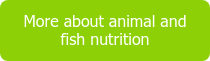 More about animal and fish nutrition