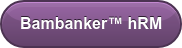 Bambanker hRM