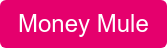 Money Mule