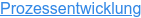 Prozessentwicklung