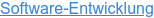 Software-Entwicklung