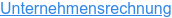 Unternehmensrechnung