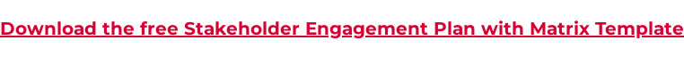 Download The Stakeholder Engagement Plan