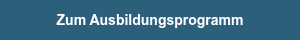 <p>Zum Ausbildungsprogramm</p>