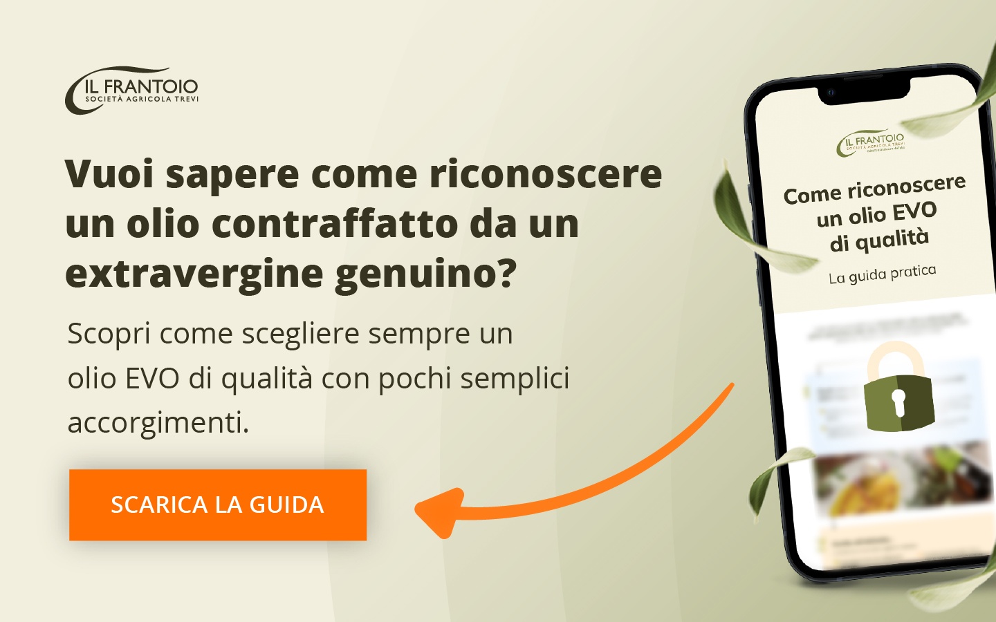 Impara a riconoscere un olio d'oliva originale con questa breve e semplice guida. Scaricala ora!