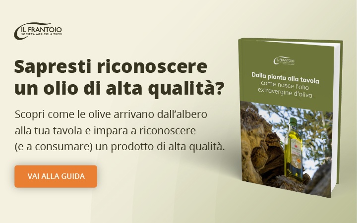 Scopri come nasce l'olio d'oliva con il metodo Guidobaldi. Scarica ora la guida!