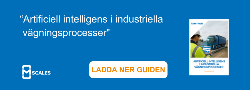 AI_Guide_mScales_SV