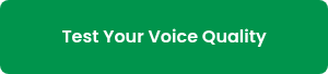 Test Your Voice Quality