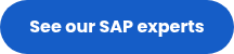 <p>See our SAP experts</p>